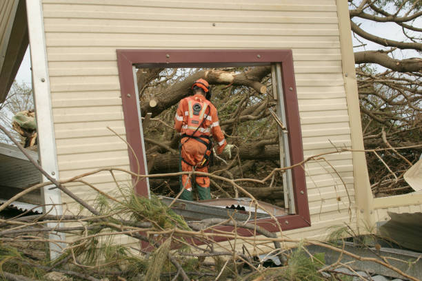 How Our Tree Care Process Works  in  Mattawa, WA